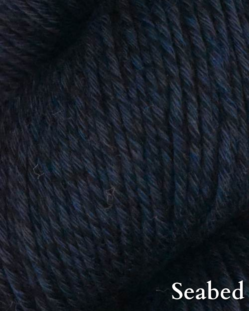 Araucania Alga Solid
