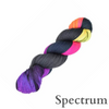 Araucania Huasco Sock Prism Paints