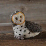 The General Bean Needle Felting Kit