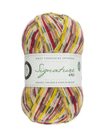 West Yorkshire Spinners Signature 4ply