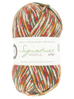 West Yorkshire Spinners Signature 4ply